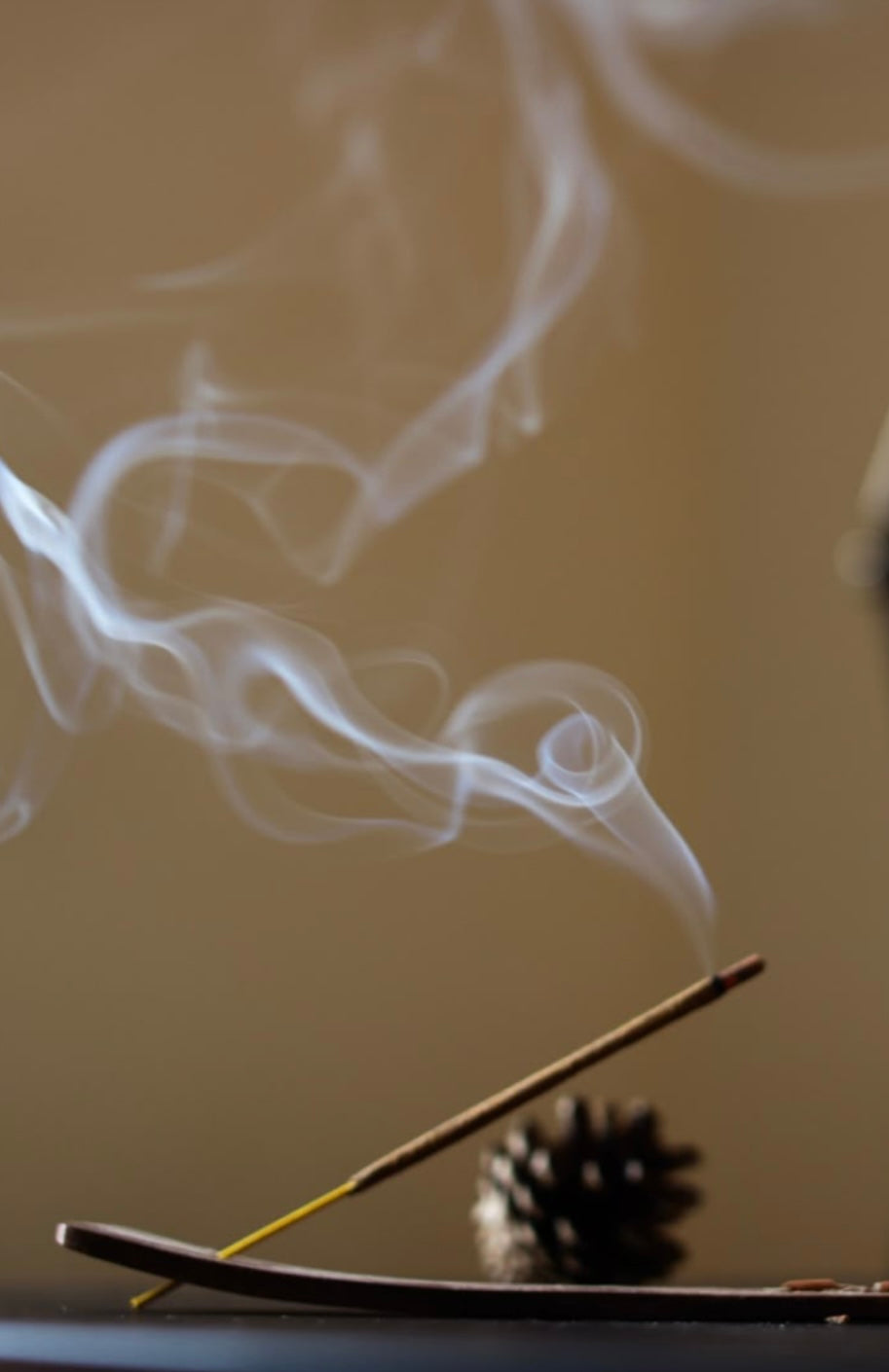 Money Magnet Incense (White Sage & Vanilla)